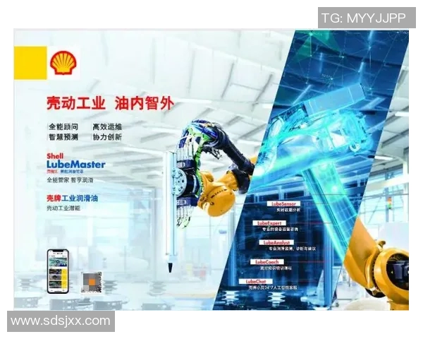 全运会特别报道：武汉篮球队如何实现华丽转型与崛起之路